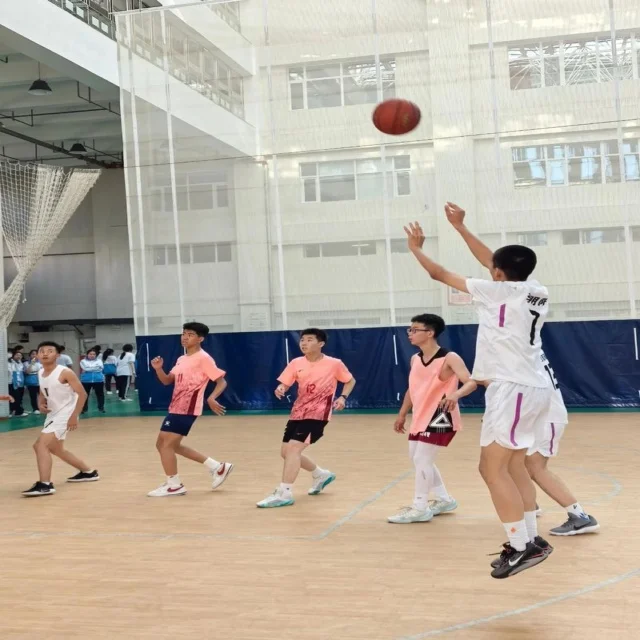 训练备战聚焦：第1124组阵容亮点深度解析